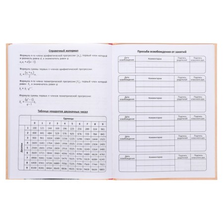 Diary solid cover 1-11 grade 48 sheets, "Iskra", cover cardboard 7BC, glossy lamination, cheat sheet-13