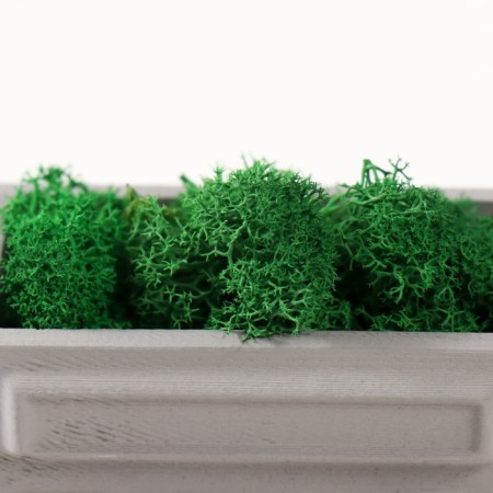 Kashpo concrete mini "Retro radio" with moss lightly gray 8x4x4.5cm (moss green stabilizer.)-5