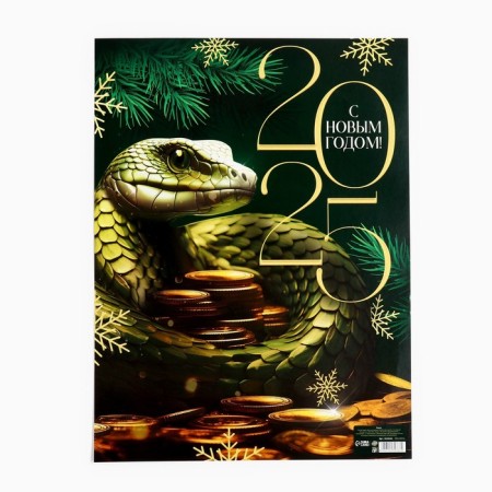 Poster "2025", 30 x 40 cm-1