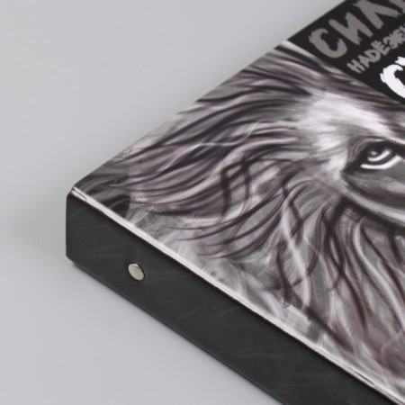 Photo album 25 sheets (stickers+rings) "Leo" 19x27x3 cm-12