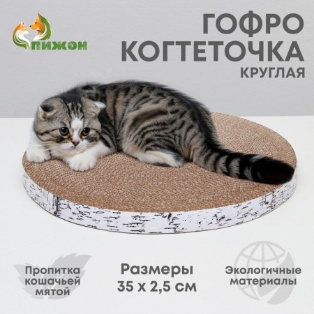Corpushes "Pijon" Round "Birch Bereza, with impregnation, 35 x 2.5 cm