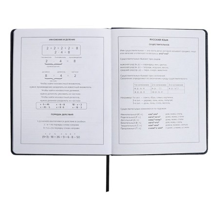 School diary for grades 1-11, solid cover, artificial leather, applique, pancake embossing, metal scruffies, silk-films, lies, 48 ​​sheets, block 80g/m2, black-11