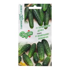 Seeds of cucumber 