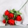 Artificial flowers "Rose Triza" D-7 cm 50 cm, red