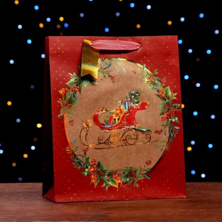 Gift package "Sani with gifts" 26 x 32 x 12 cm