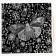 Engraving. Antistress engraving set, 20 x 20 cm, 4 pcs