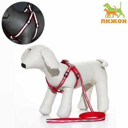 Sports set a reflective, leash 120 x 1 cm, fire 23-35 cm, red