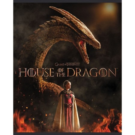 Notebook of 48 sheets in the cage "Dragon House", cover coated cardboard, rounded corners, mix-3