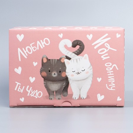 Box Gift team, packaging, “go hug”, 22 x 15 x 10 cm-4