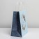 Package Gift Crafts "Frosty Morning", 22 x 25 x 12 cm, New Year