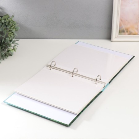 Photo album on 50 magnetic sheets 23x28 cm, on the rings "FOG"-4