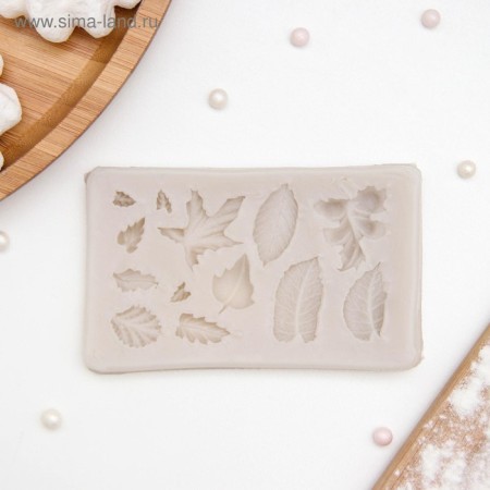 Mold Dolyana "Herbarium", silicone, 8 × 5 × 0.8 cm, color mix-4