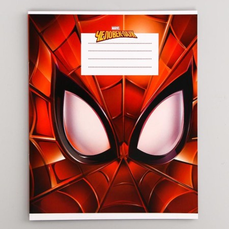 Notebook in a cage 12 sheets, 5 types of mix, cover coated cardboard, spider-man-6