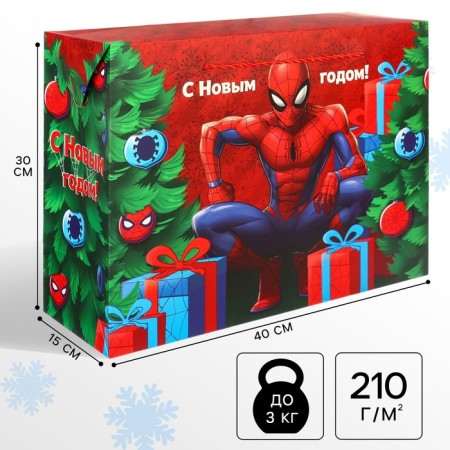 Gift Package "New Year" 30x40x15 cm, Spider-Man
