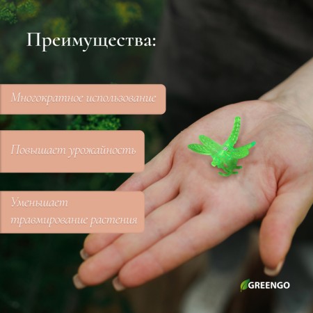 Clips for Plants "Dragonfly", set of 10 pcs., Mix, Greengo-1