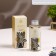 Filler for aromatic diffuser charm of the east 100 ml