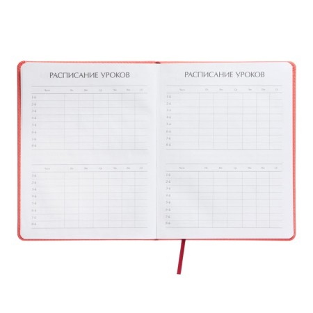 Universal diary for grades 1-11, 48 sheets, Velvet, solid cover, artificial leather, thermoting, liesse, coral-5