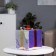 LED figure "Gift" 20 × 20 × 20 cm, plastic, 220 V, glow of white