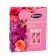 Gift set Female "Rose and Orchid": shampoo, 250 ml + shower gel, 250 ml