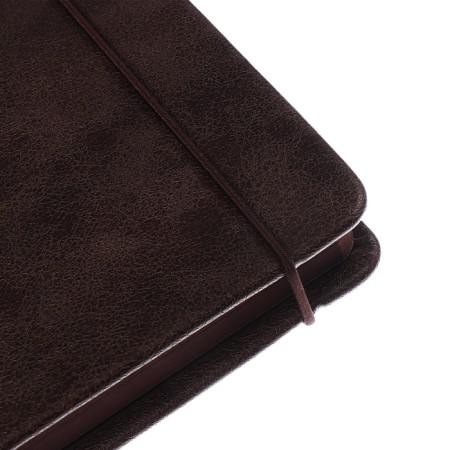 Diary Nedtir A5 160l Escalada, TV Region, Light claim, Las, tone BL 70g/m2, brown-6