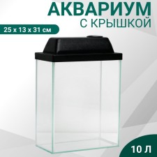 Aquarium rectangular 