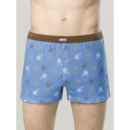 Men's panties, size 50, color blue, brown, 2 pcs-1