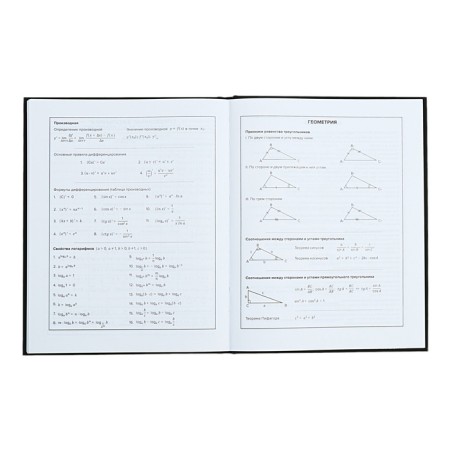 Universal Diary Grade 1-11, 48 raccoon sheets, solid cover, foil embossing, glossy lamination, universal cheat sheet, block 65 g/m2-9