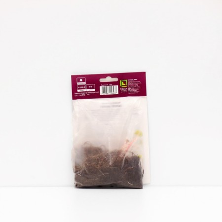 Dark geranium "Rhus", 1 pc, rr I, spring 2025-1