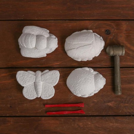 Set of archaeologist "Insects", series: 4 briquettes, hammer, chisel-1