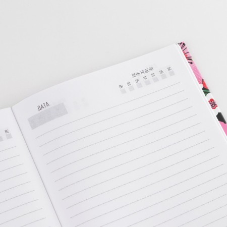 Diary "Best Educator", solid cover, A5 format, 80 sheets-3