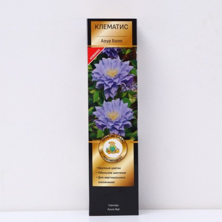 Clematis large -flowered suite "Azur Ball", 1 pc, tube, spring 2025