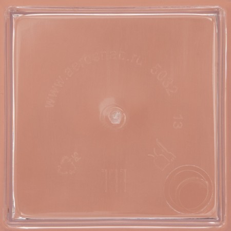 Plastic disposable form for bundles "Pagoda", 120 ml, 6.7 × 6.7 cm, the color is transparent-3
