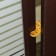 CISTOR for doors "GURAPHIC"