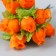 Flowers for decorating "rose form" orange 1 bouquet = 12 colors 10 cm
