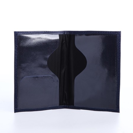 Cover for passport, blue color-2