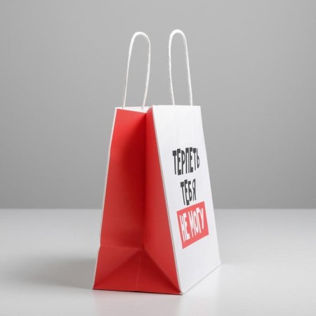 Gift package, packaging, “I can't stand you”, 22 x 22 x 11 cm-1