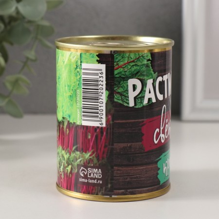 Growing gift of grass "Raising beets and cross-sanalates at home-1