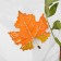 Brooch "Mine Leaf" carved, orange color in gold