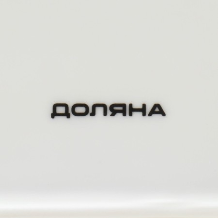 Porcelain plate for proper power supply, D = 23 cm-5