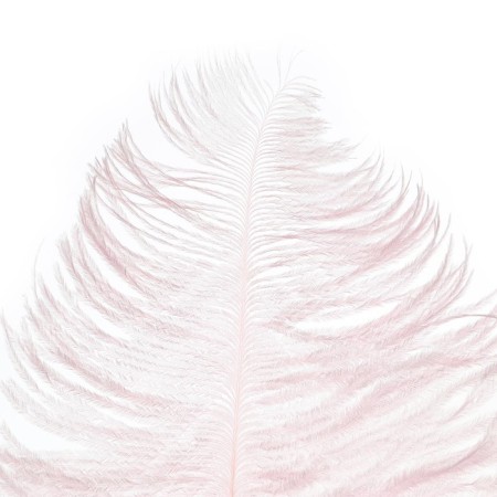 Feather for decor, length: from 45 to 60 cm, pink color-2