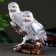Garden figure "Owls Two sitting on a branch" 32cm