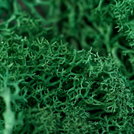 Artificial moss "dark green" 10 g-2