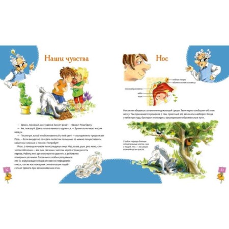 A large health book for the whole family. Grenemayer D.-6
