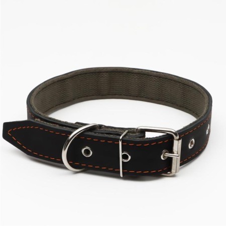 Collar combined leather/tarpaulin, 69 x 3.5 cm, decorated, Osh 45-60 cm, black-1