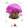 LED tape for plants Fito-Strip Light-RB-2M red-blue spectrum, 2 m, IP65 with adaptation