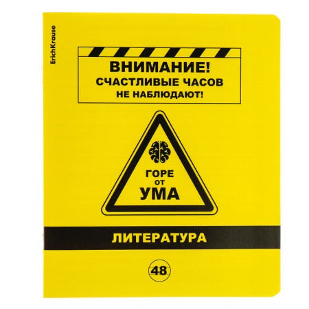 A set of subject notebooks 48 sheets, 12 pieces, Erichkrause "BENFORMED", plastic cover silk-screen cover, OFSET BELICE 100%, info block-12