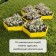Glocked flowerbed, D = 100 cm, h = 15 cm, yellow, Greengo