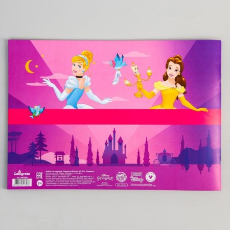 Album for drawing A4, 24 sheets 100 g/m², on paper, princesses-2