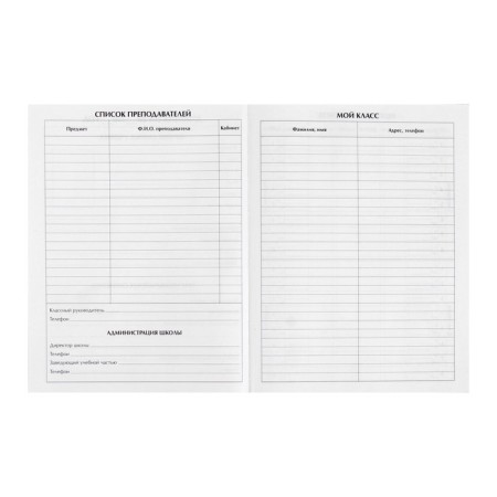 Universal diary for grades 1-11, Dino, solid cover 7BC, glossy lamination, 40 sheets-5