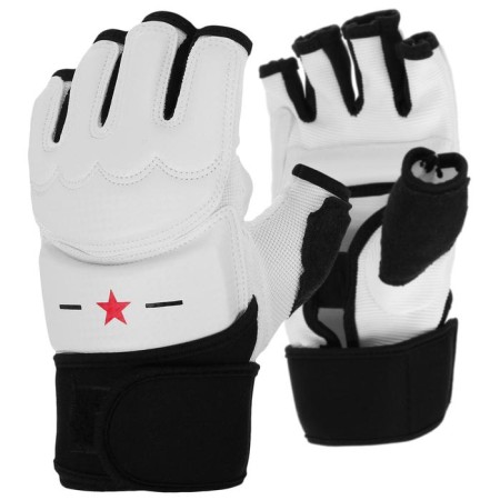 Gloves for Taekwondo Fight Empire, p. L.-2